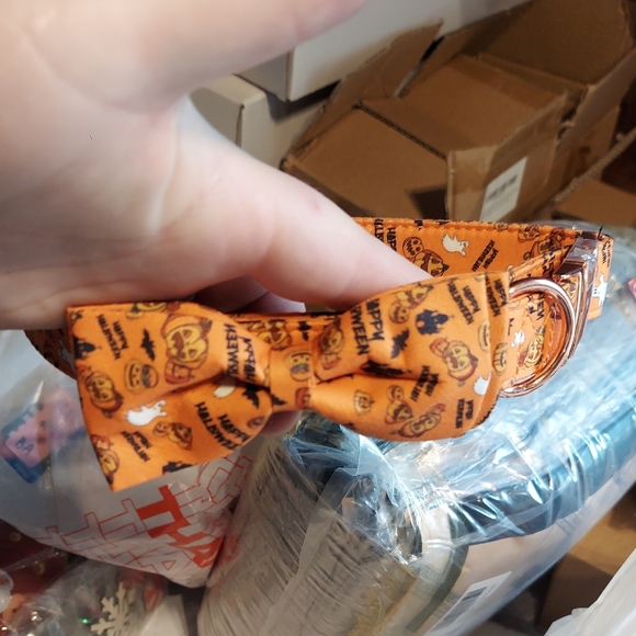 Other - Orange Halloween Dog Collar with Bow